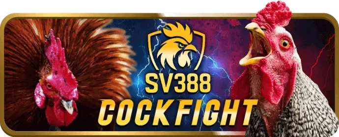 Cá cược thể thao với đa dạng môn và kèo cược tại cwin05 casino